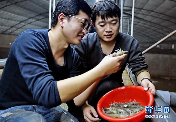 1月2日,河北省乐亭县姜各庄镇一家海产品工厂化养殖基地的技术员在