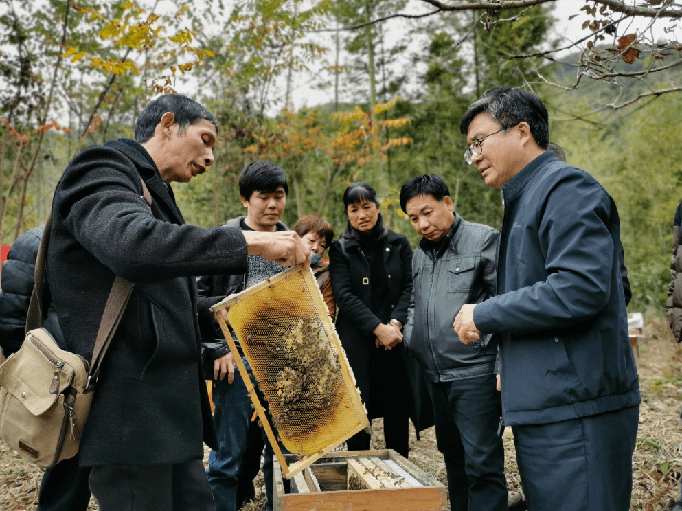 【乡村振兴】初冬的甜蜜事业 福建农林大学陈大福教授到延指导蜂业生产